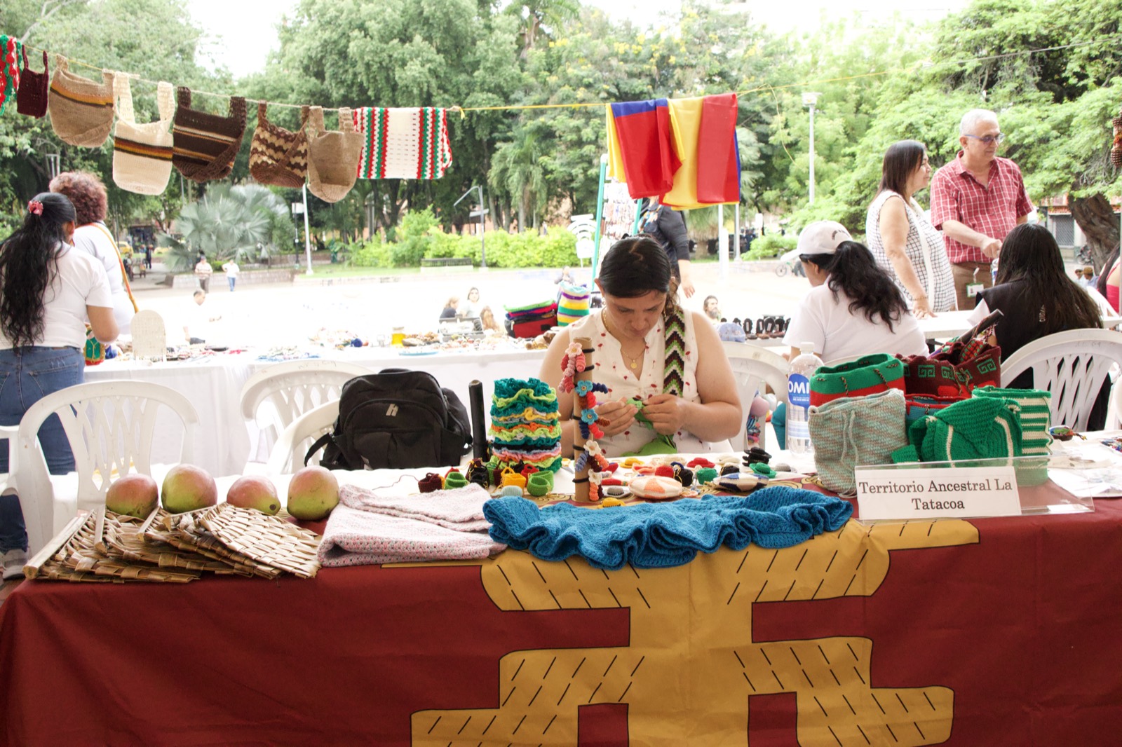 Actividad de la fundación 14
