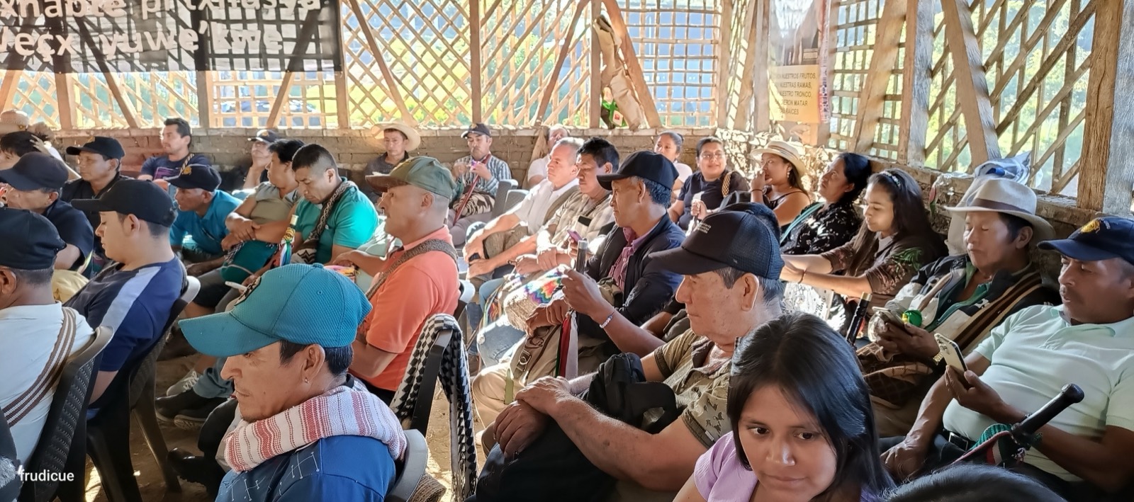 Actividad de la fundación 25