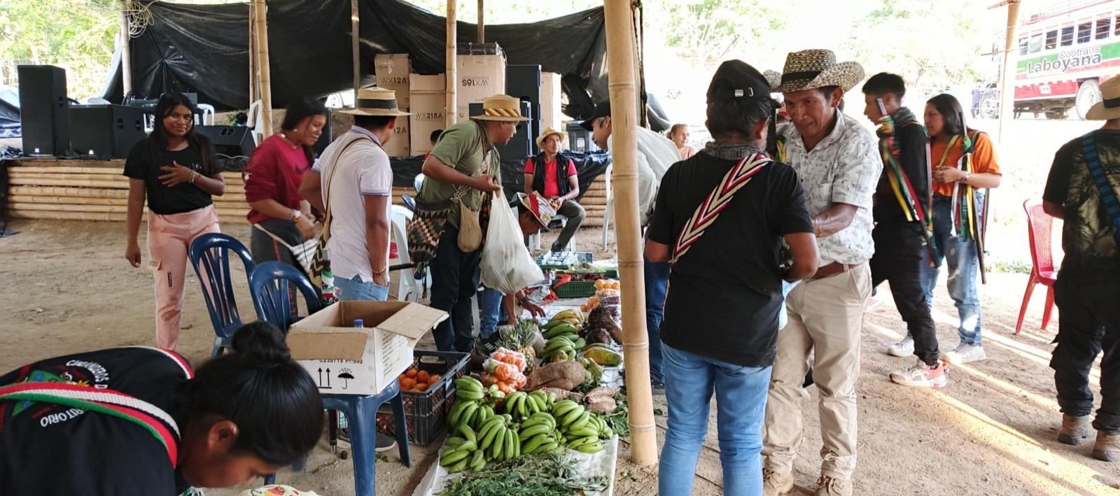Actividad de la fundación 29