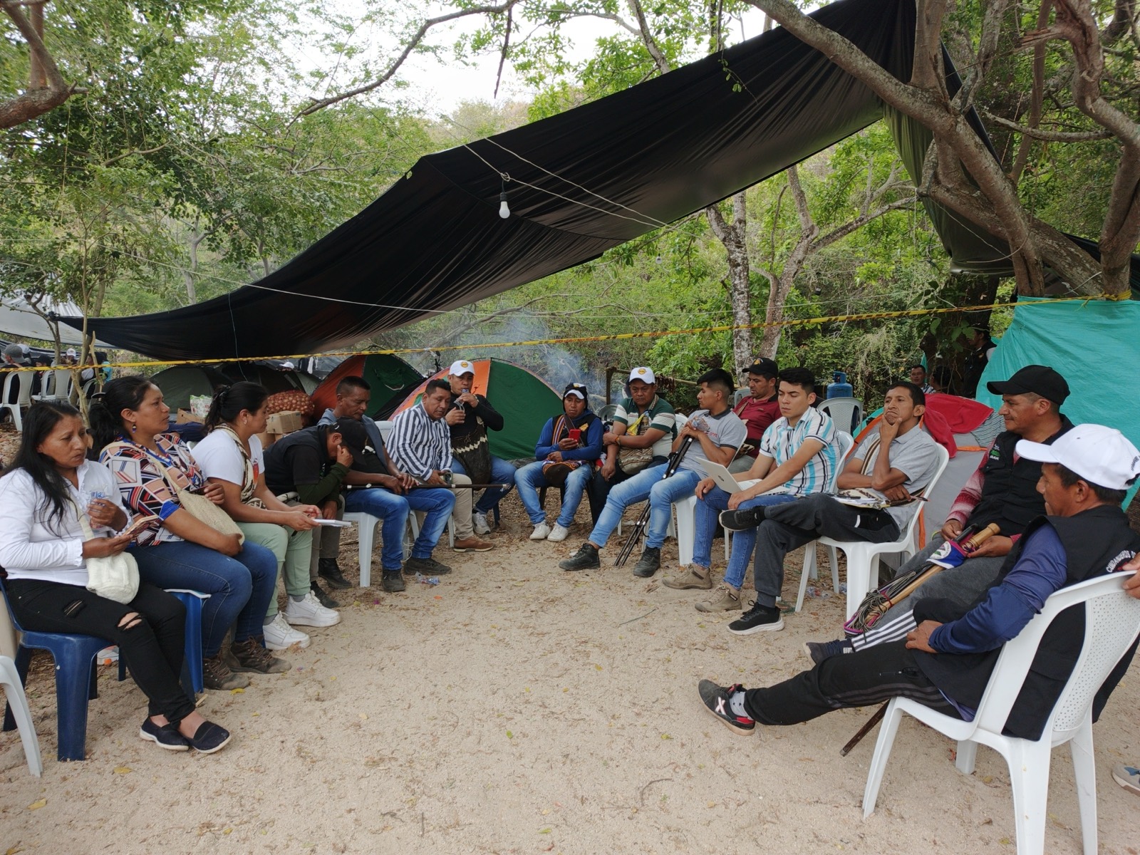 Actividad de la fundación 31